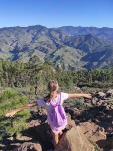 506356597_1260971612323980_4091689876699813012_n